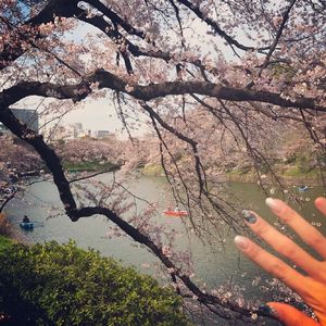 六十路熟女田舍交尾
