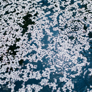 六十路熟女田舍交尾
